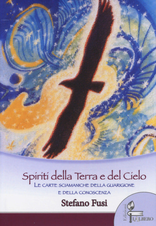Cover of Spiriti della terra e del cielo. Le carte sciamaniche della guarigione e della conoscenza