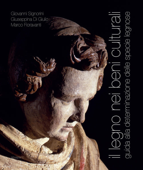 Cover of legno nei beni culturali. Guida alla determinazione delle specie legnose