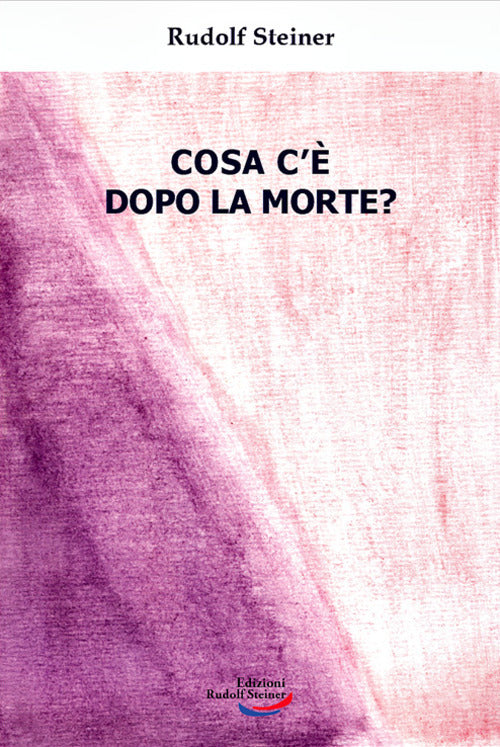 Cover of Cosa c'è dopo la morte?