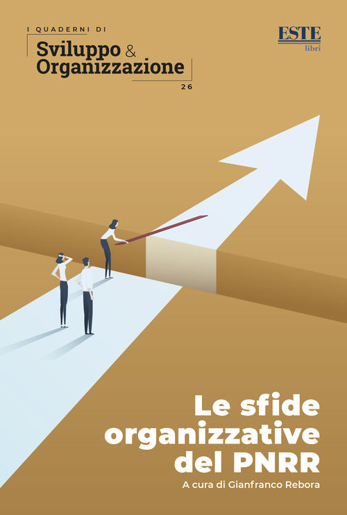 Cover of sfide organizzative del PNRR