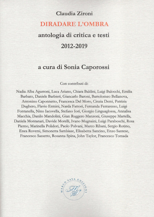Cover of Diradare l'ombra. Antologia di critica e testi 2012-2019