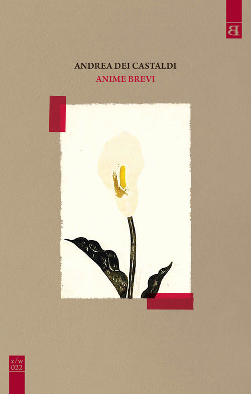 Cover of Anime brevi