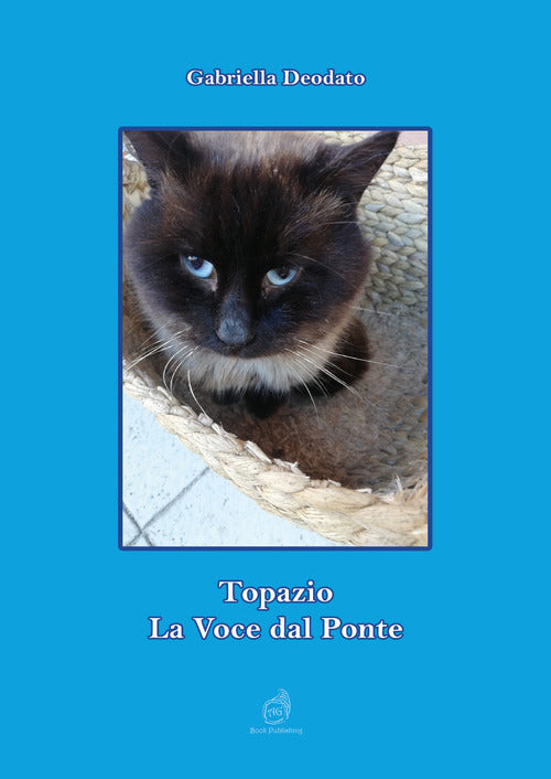 Cover of Topazio. La voce dal ponte
