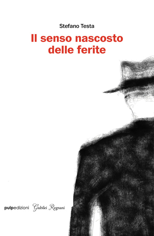 Cover of senso nascosto delle ferite