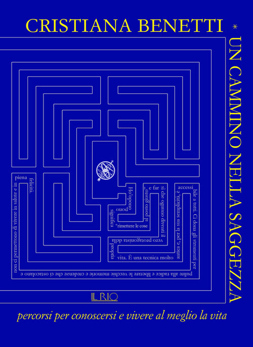 Cover of cammino nella saggezza. Percorsi per conoscersi e vivere al meglio la vita