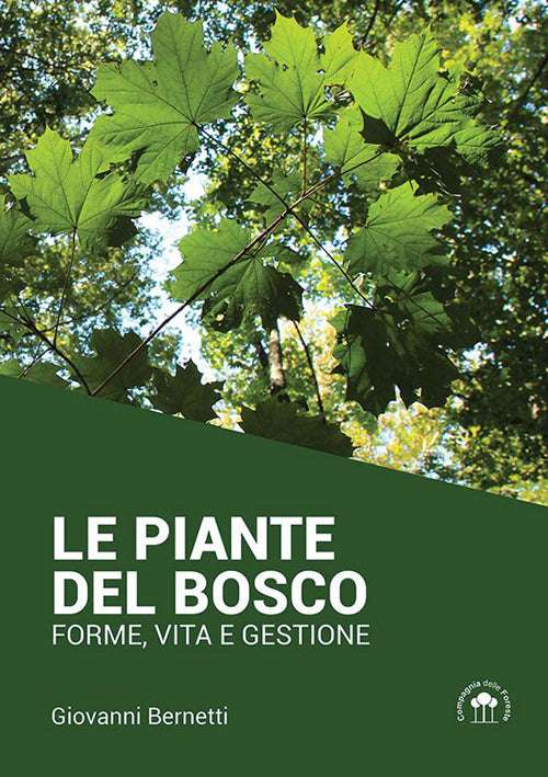 Cover of piante del bosco. Forme, vita e gestione