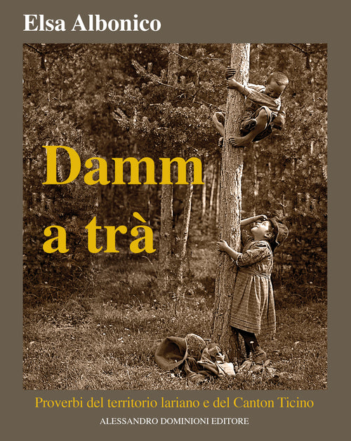Cover of Damm a tra'. Proverbi del territorio lariano e del Canton Ticino
