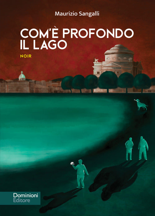 Cover of Com'è profondo il lago