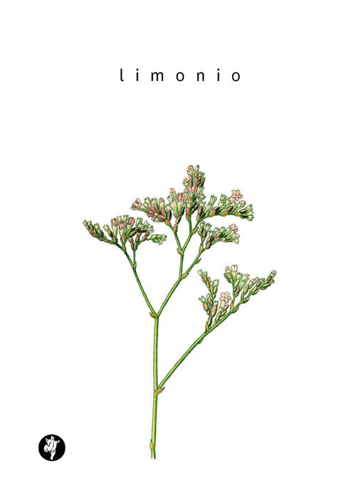 Cover of Limonio