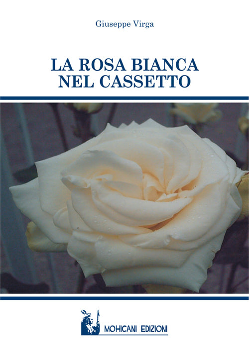 Cover of rosa bianca nel cassetto
