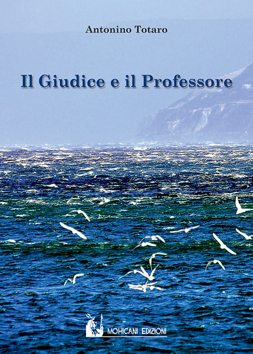 Cover of giudice e il professore
