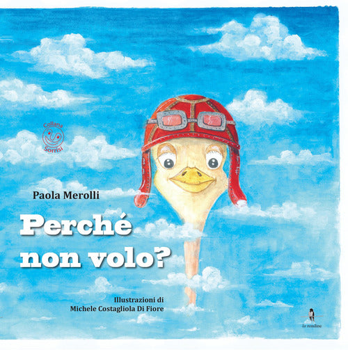 Cover of Perché non volo?