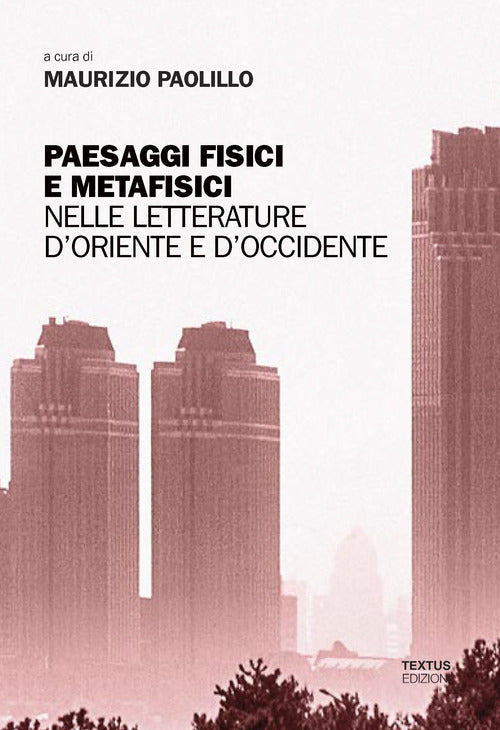 Cover of Paesaggi fisici e metafisici