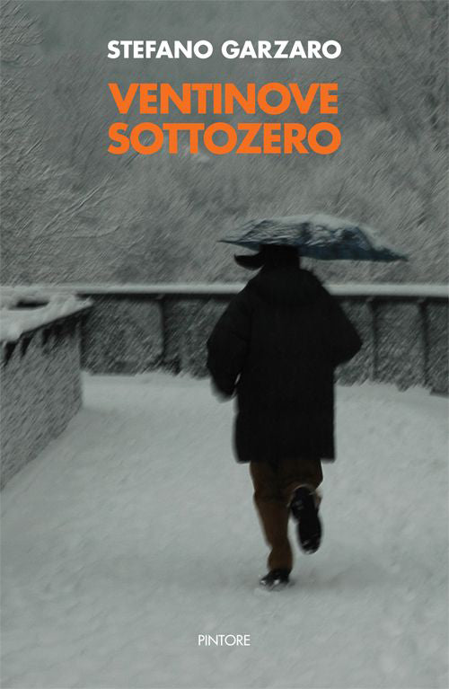Cover of Ventinove sottozero