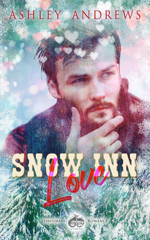 Cover of Snow inn love
