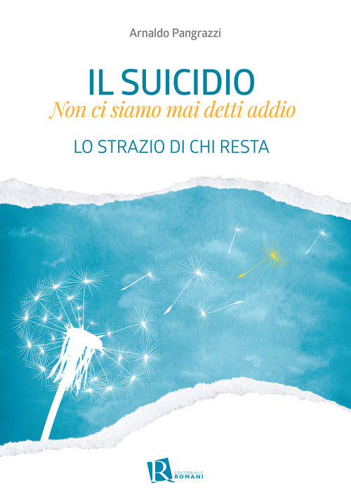 Cover of suicidio. Non ci siamo mai detti addio. Lo strazio di chi resta