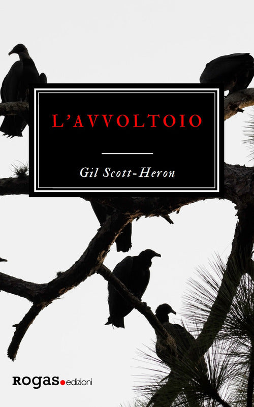Cover of avvoltoio