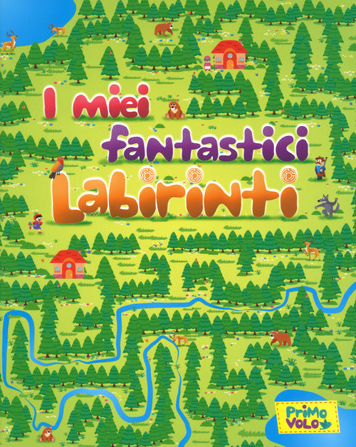 Cover of miei fantastici labirinti