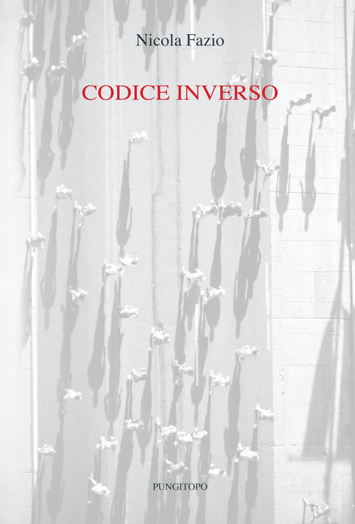Cover of Codice inverso