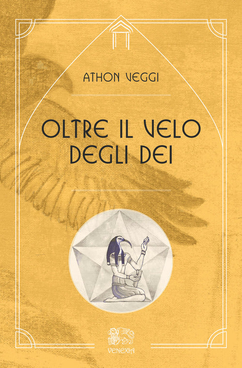 Cover of Oltre il velo degli dei