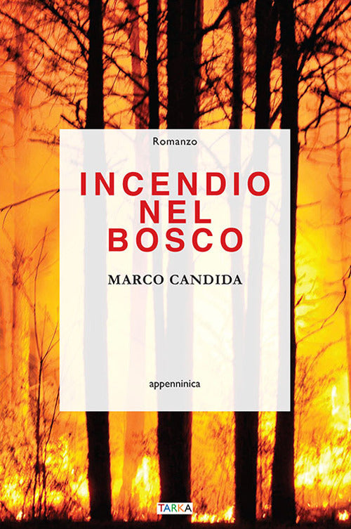 Cover of Incendio nel bosco