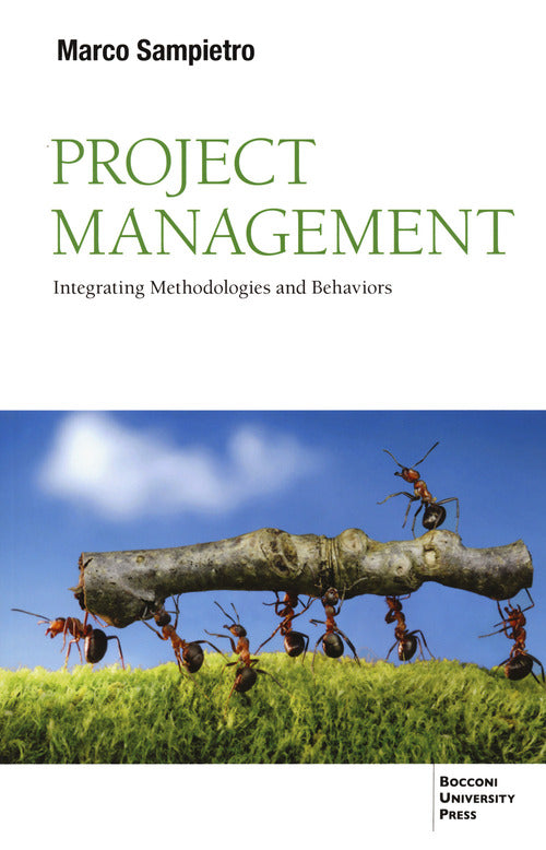 Cover of Project management. Integrating methodologies and behaviors