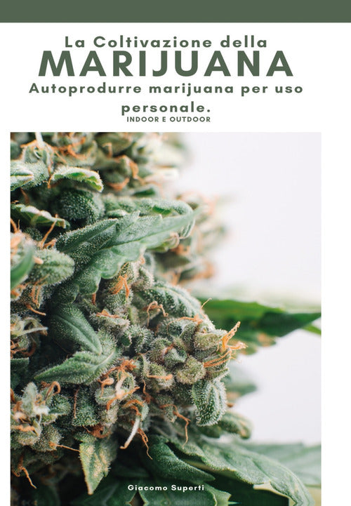 Cover of coltivazione della marijuana. Autoprodurre marijuana per uso personale