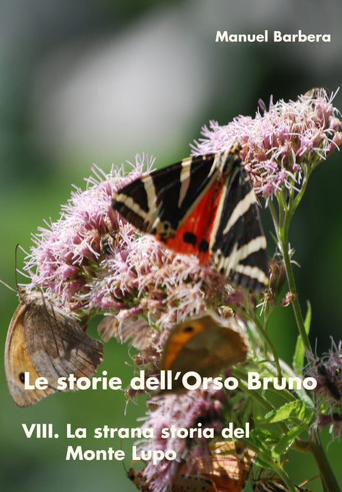 Cover of strana storia del Monte Lupo. Le storie dell'orso bruno