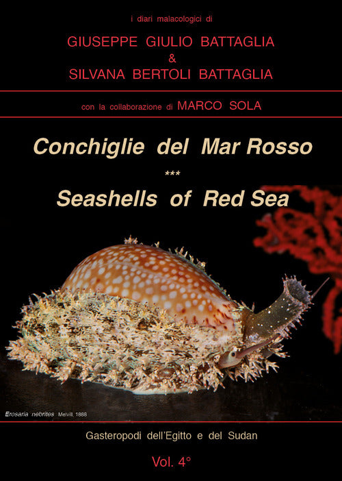 Cover of Conchiglie del Mar Rosso-Red Sea's seashelles