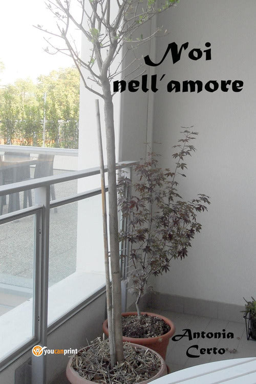 Cover of Noi nell'amore