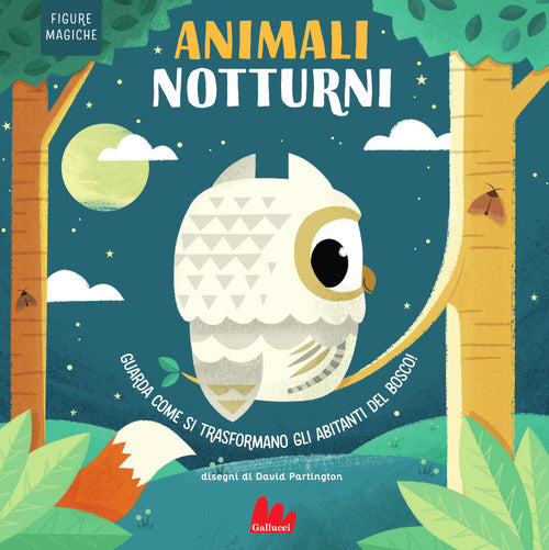 Animali notturni. Figure magiche