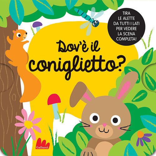 Dov'è il coniglietto?