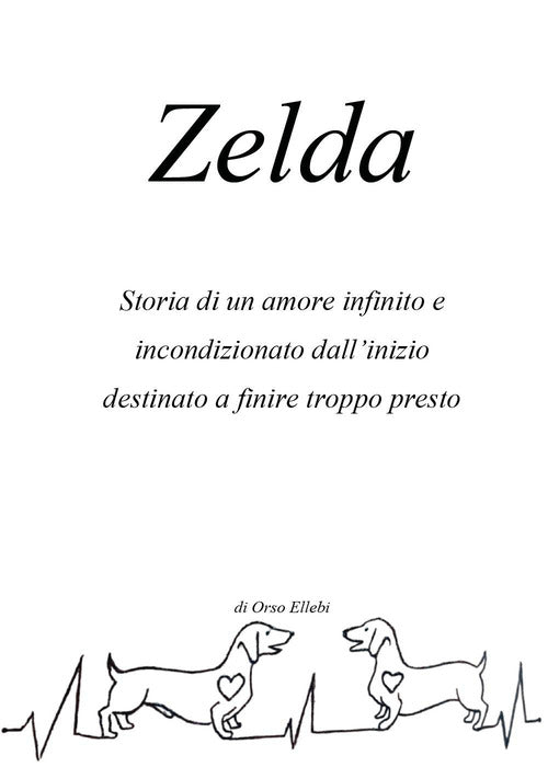 Zelda. Storia di un amore infinito e incondizionato dall'inizio destinato a finire troppo presto