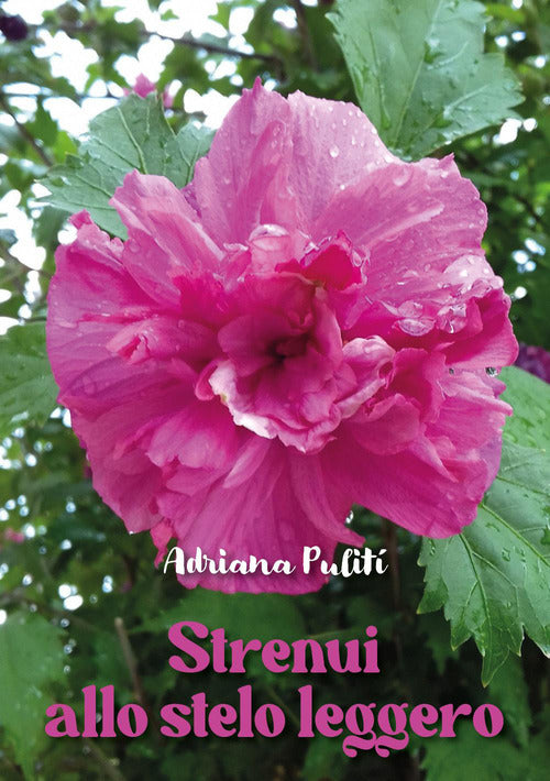 Strenui allo stelo leggero
