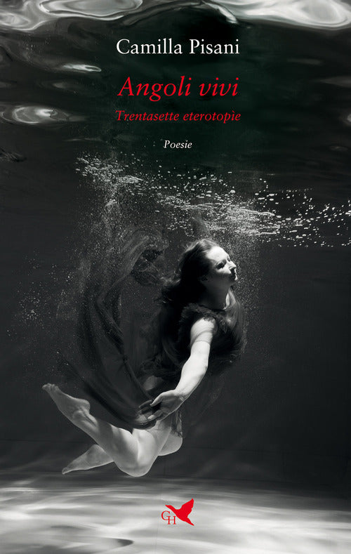 Angoli vivi. Trentasette eterotope