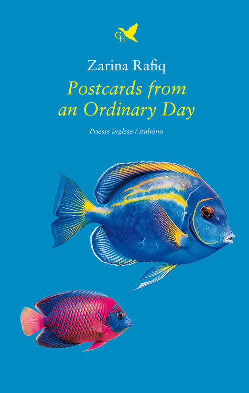 Postcards from an ordinary day