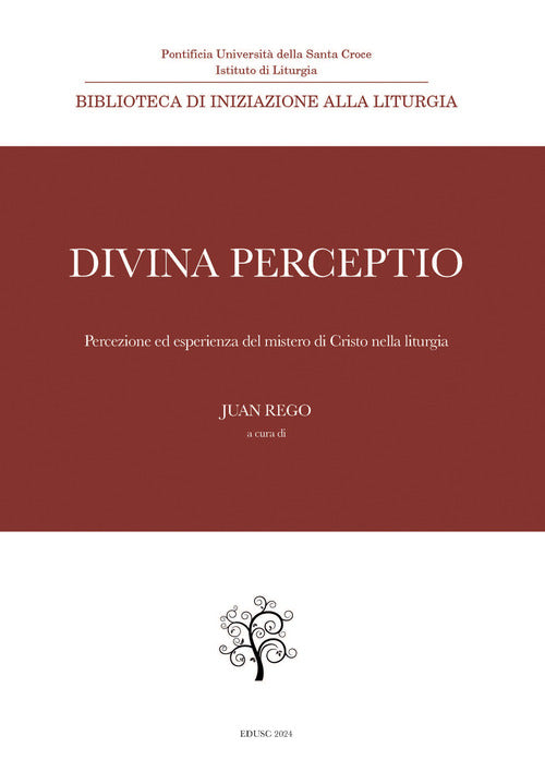 Cover of Divina perceptio. Percezione ed esperienza del mistero di Cristo nella liturgia