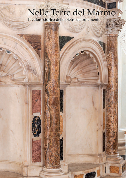 Cover of Nelle terre del marmo. Il valore storico delle pietre da ornamento