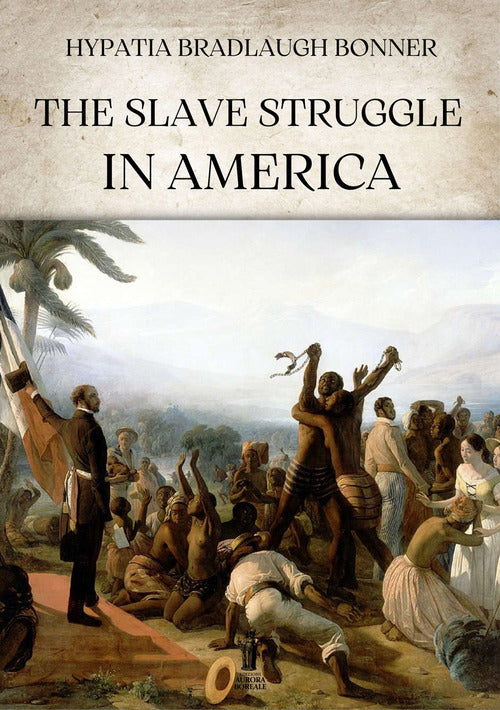 Cover of slave struggle in America
