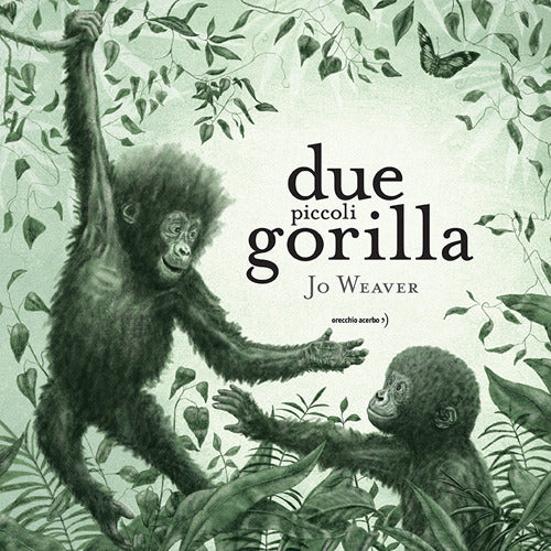 Due piccoli gorilla