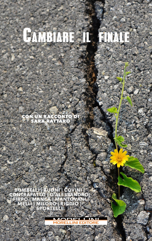 Cover of Cambiare il finale