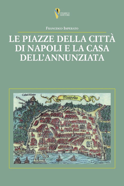 Cover of piazze della città di Napoli e la casa dell’Annunziata