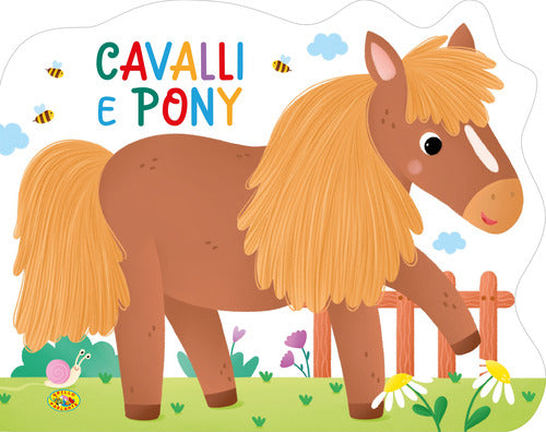 Cavalli e pony