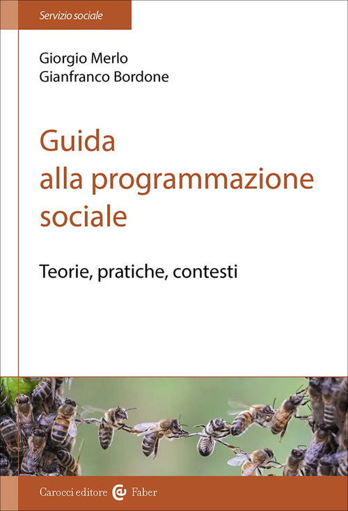 Guida alla programmazione sociale. Teorie, pratiche e contesti