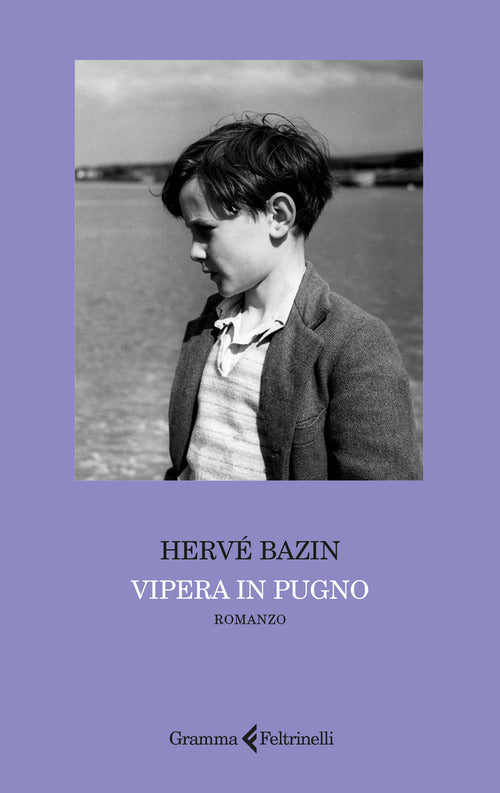 Vipera in pugno