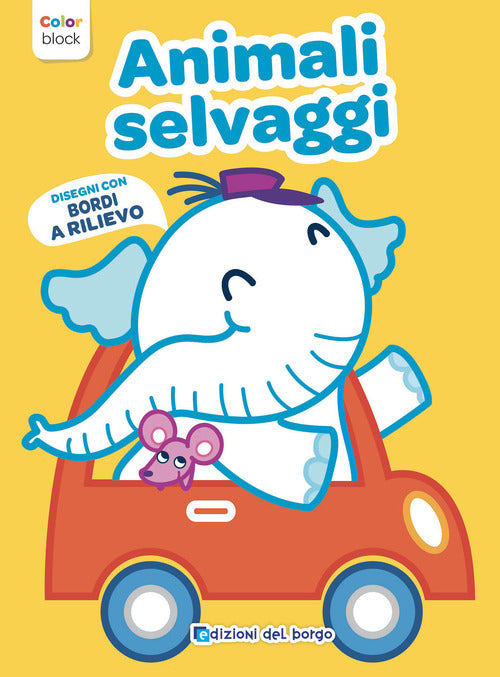 Animali selvaggi. Color block