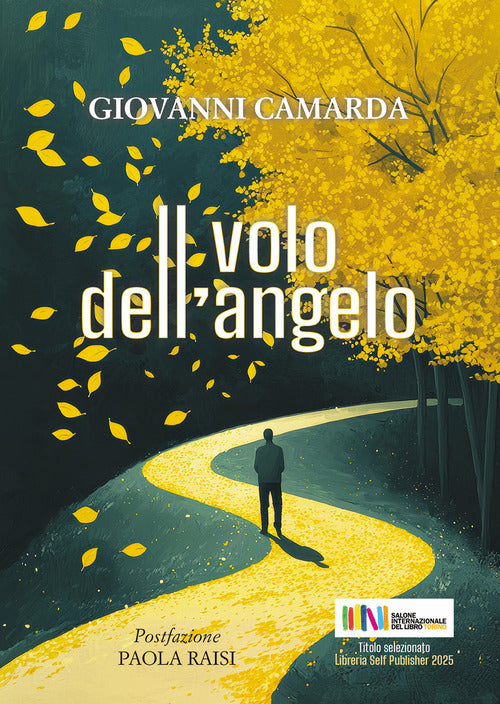 Il volo dell'angelo