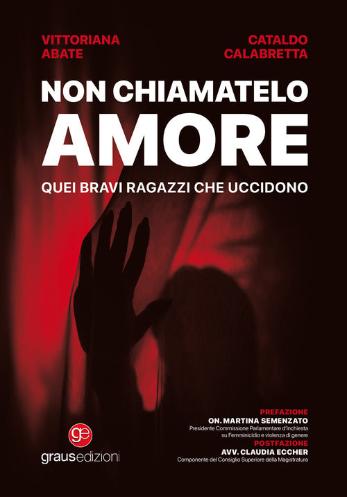Non chiamatelo amore. Quei bravi ragazzi che uccidono