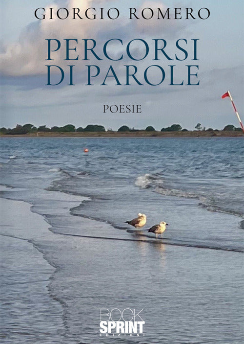 Percorsi di parole