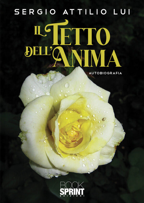 Il tetto dell'anima